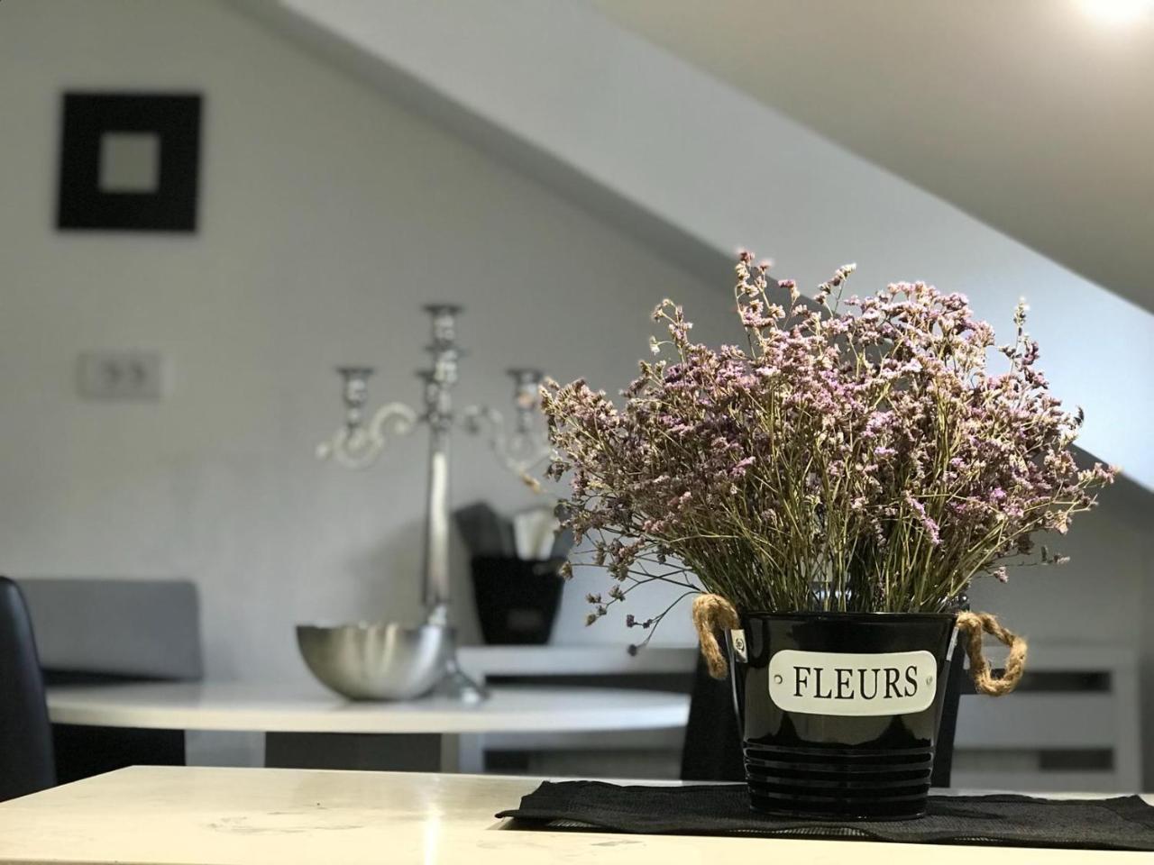 Apartament Stan Na Dan Angel Nowy Sad Zewnętrze zdjęcie