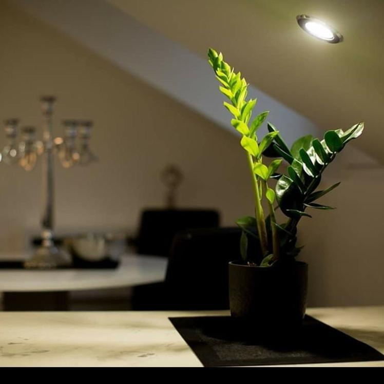 Apartament Stan Na Dan Angel Nowy Sad Zewnętrze zdjęcie