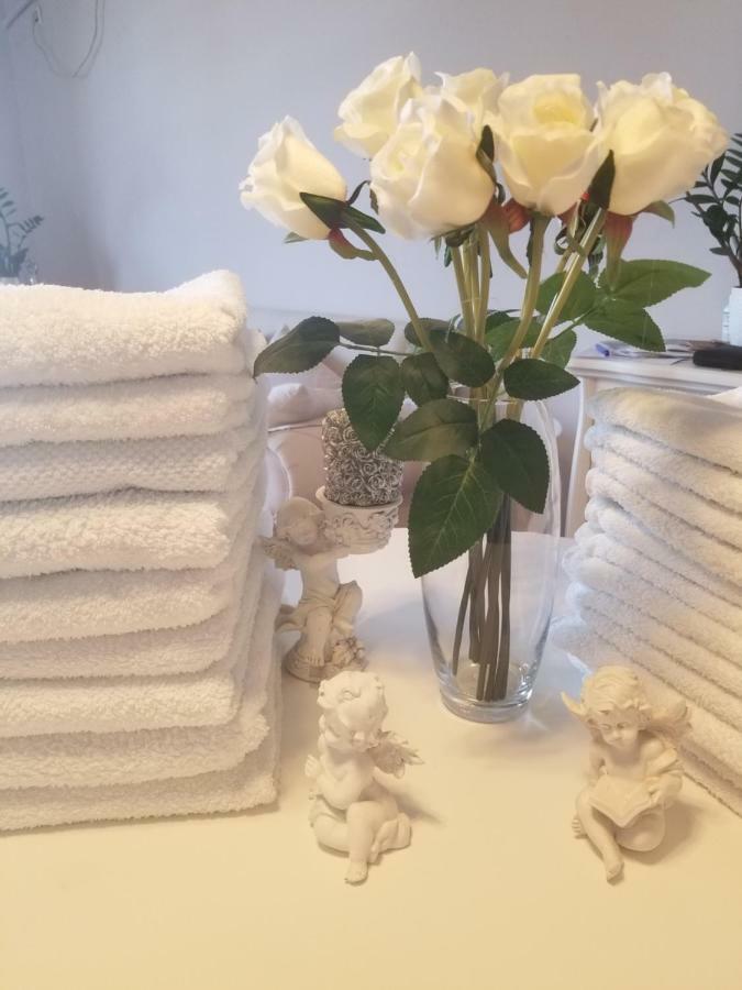 Apartament Stan Na Dan Angel Nowy Sad Zewnętrze zdjęcie